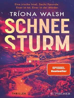 cover image of Schneesturm